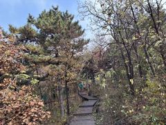 -北京十三陵国家森林公园蟒山景区