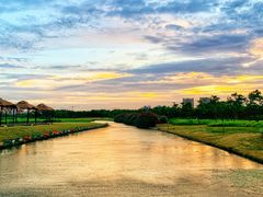 -春花秋色城市公园