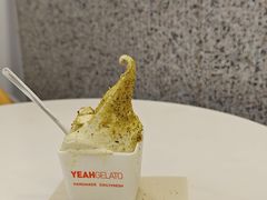 -野人先生现做冰淇淋(北京环宇荟店)