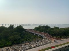 -宝安西湾红树林湿地公园