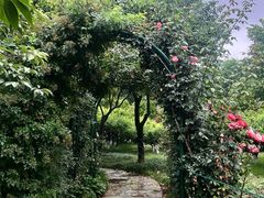 -郑州植物园