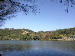 -深圳仙湖植物园