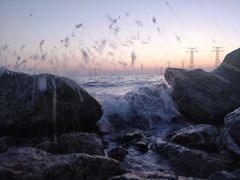 -宝安西湾红树林湿地公园