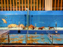 -蓝钻·国际美食海鲜自助百汇(西直门店)