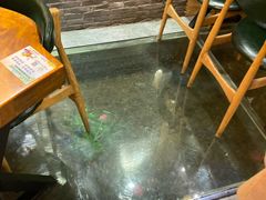 -印象江南(东栅店)