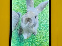 -海珠新都荟城光荟(海珠店)