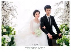 -巴黎经典婚纱摄影PARISSIC