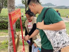 -光明小镇欢乐田园
