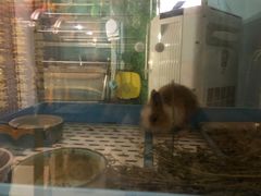 -雨林宠物医院 非犬猫异宠专科
