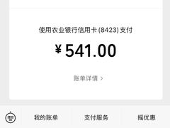 -淮扬府·游园京梦(中粮广场店)