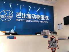 -芭比堂动物医院·CT·微创中心(新顺分院)
