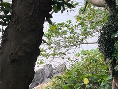 -平湖九龙山旅游度假区