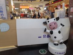 -一只酸奶牛(锦城万达天虹店)