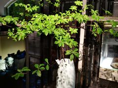 -穹六人间 people 6(岳阳路店)