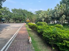 -三水森林公园