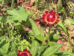 -上海交通大学(闵行校区)