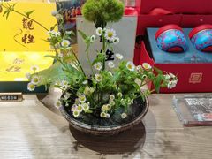 -格桑花开药膳蔬食文化空间