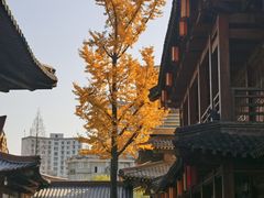 -香积寺