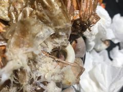 -启东小海鲜(庄先湾路1号店)