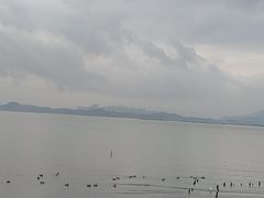 -深圳湾公园(南山区)