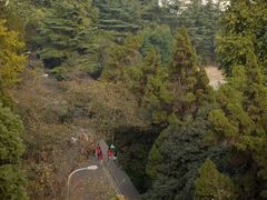 -武汉大学老图书馆