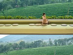 -帐篷客·溪龙茶谷度假酒店