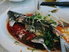-水上人家河鲜