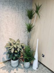 -P.STYLE 派斯造型