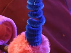 -水巷子·巴掌腰片重庆火锅(云纺店)