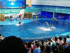 -多彩贵州城极地海洋世界