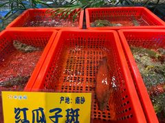-79号渔船海鲜饭店(华强北店)