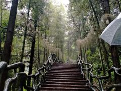 -石燕湖生态旅游景区