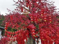 -东莞观音山旅游风景区