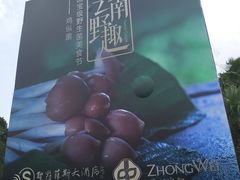 -圣爵菲斯大酒店(长沙世界之窗店)