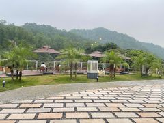-三溪村