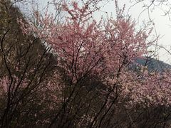 -濂泉响谷