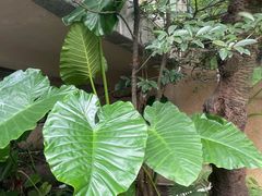 -菲鱼体育恒温游泳馆(中海名城店)