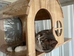 -贝康宠物医院·犬猫全科·小动物特色诊疗中心(东环路店)