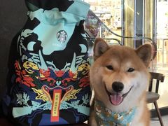 -星巴克臻选(郑州中原万达店)