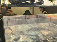 -小乡小镇·传承桐庐土菜·老板亲自烧的菜