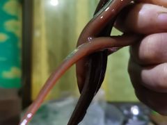 -临江后街鳝丝(临江店)