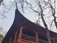 -顺峰山公园