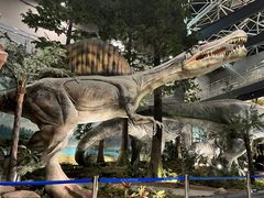 -湖南省地质博物馆