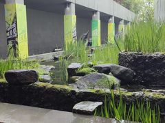 -中国湿地博物馆