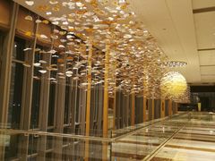 -视界美食自助餐厅·石家庄希尔顿酒店