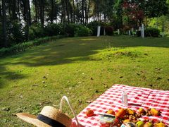 -铁山坪森林公园