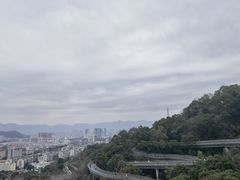 -福道