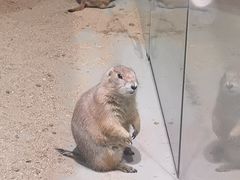 -正佳雨林生态植物园