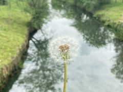 -良渚古城遗址公园