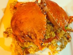 -Red Lobster